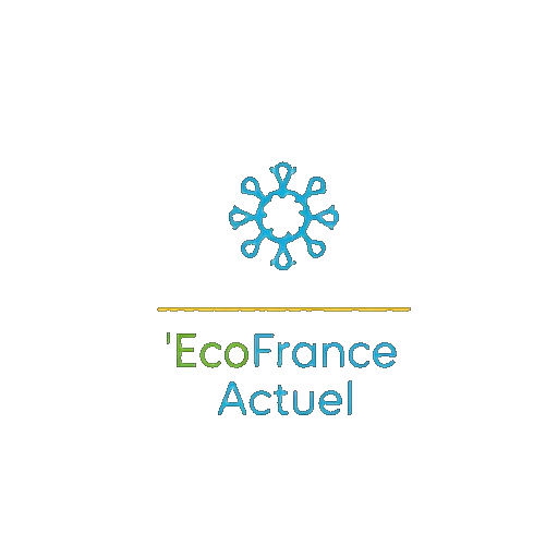 FranceActuEco logo